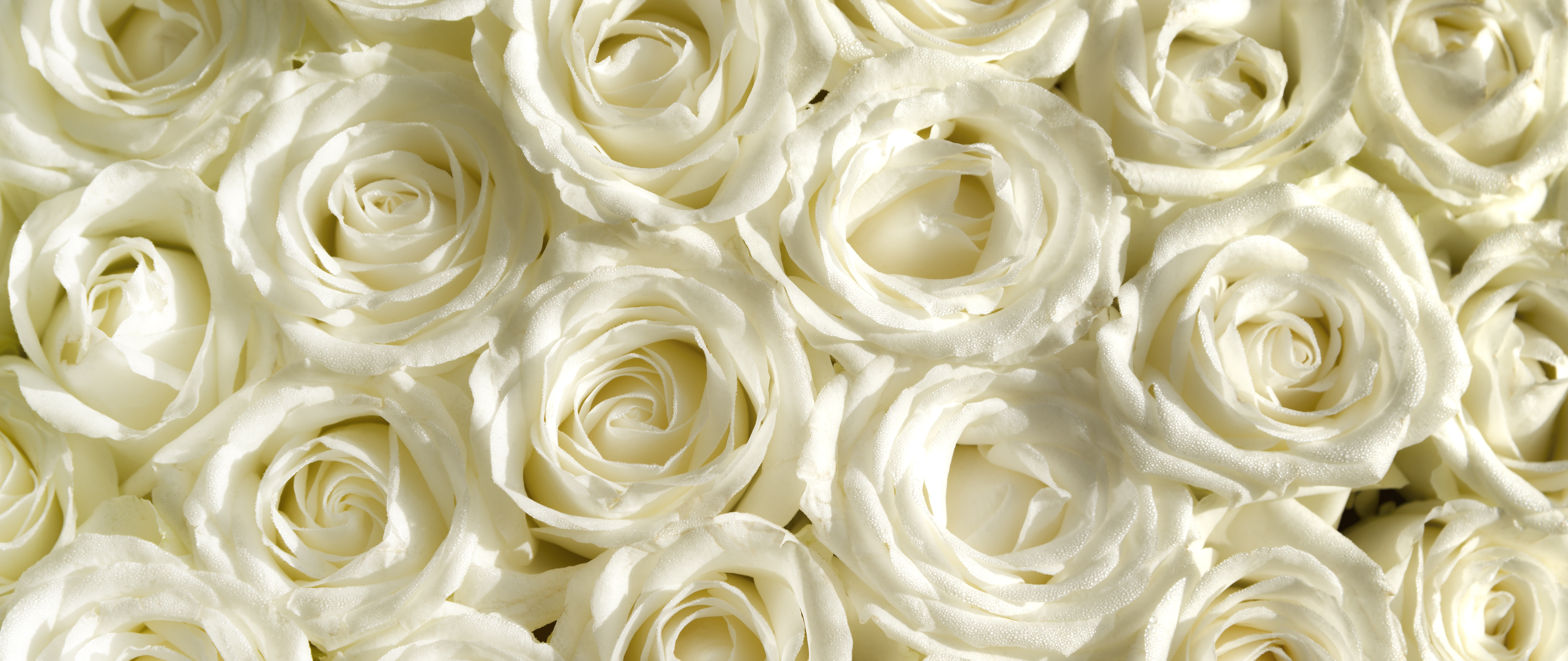 香炉が買える意外な場所とは 配置の仕方や香炉灰と香炉石も 葬儀屋さん