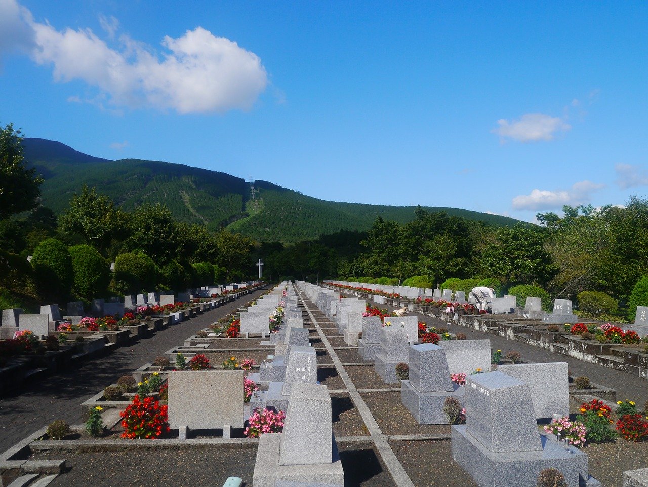 お墓に関する知識をご紹介【種類・供養形態・納骨・墓じまい】｜葬儀屋さん