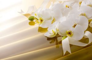 記事番号:3931/アイテムID:176893の画像